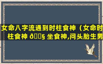 女命八字流通到时柱食神（女命时柱食神 🐧 坐食神,问头胎生男生女）